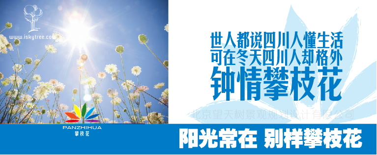 四川攀枝花旅游營銷總體策劃廣告表現(xiàn)