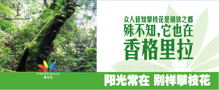 攀枝花旅游品牌傳播